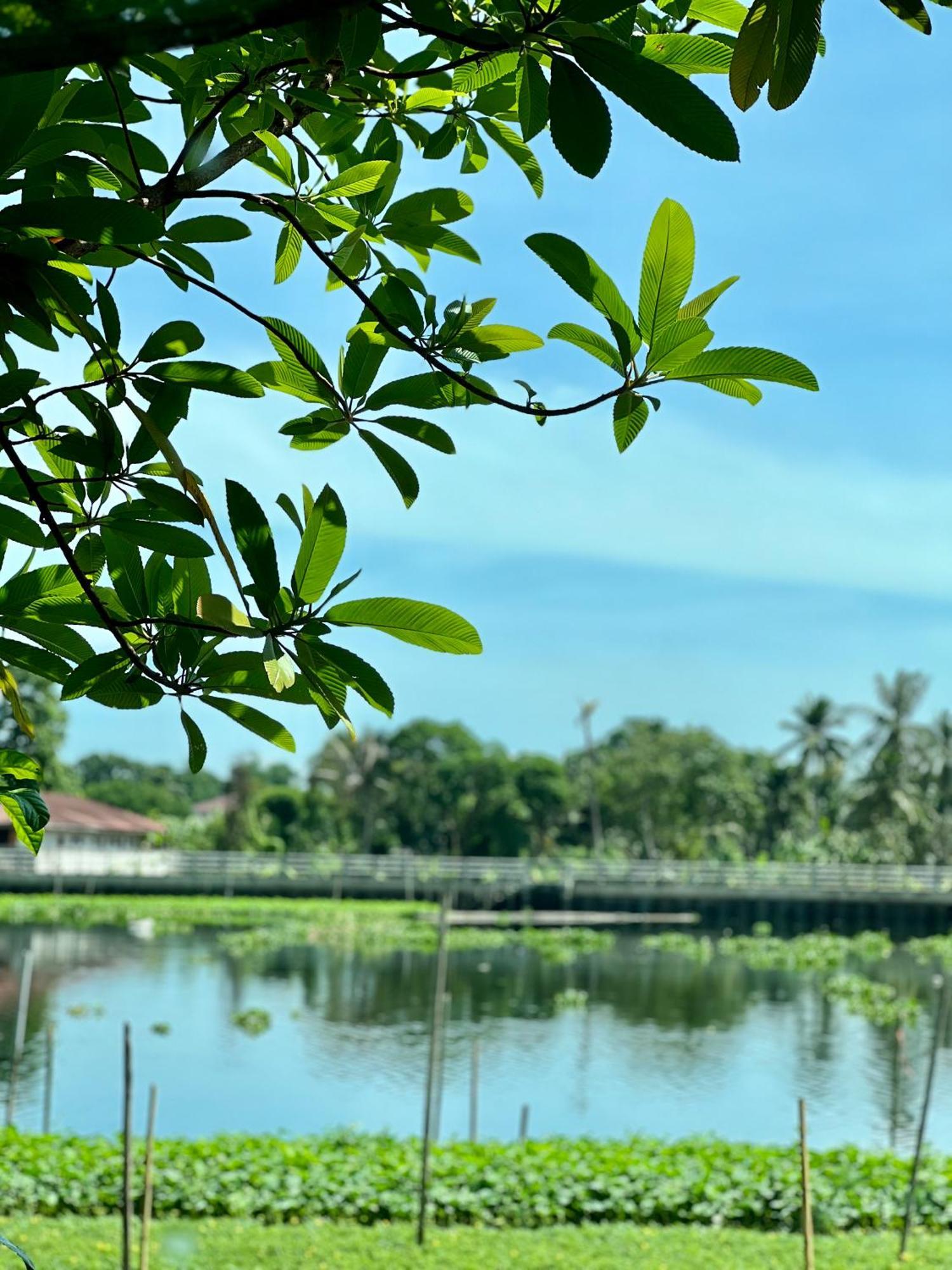 Mrt Riverside Sampran มิสเตอร์ที โฮมสเตย์-ชมนาด Eksteriør bilde